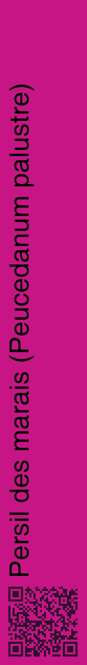 Étiquette de : Peucedanum palustre - format c - style noire45_basiquehel avec qrcode et comestibilité