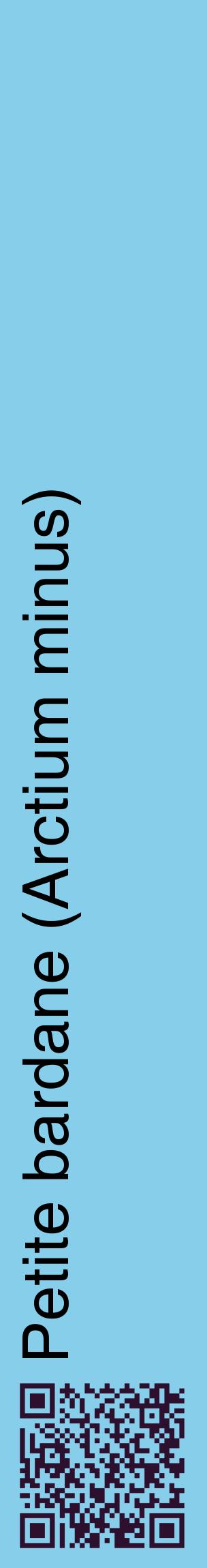 Étiquette de : Arctium minus - format c - style noire1_basiquehel avec qrcode et comestibilité