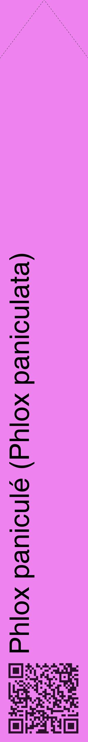 Étiquette de : Phlox paniculata - format c - style noire53_simplehel avec qrcode et comestibilité