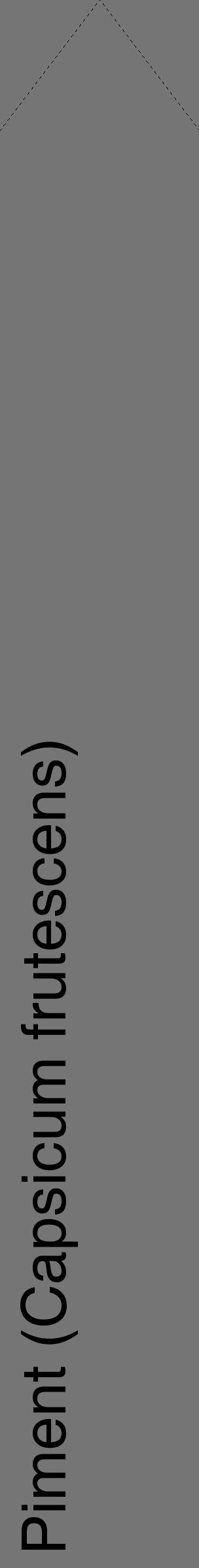 Étiquette de : Capsicum frutescens - format c - style noire5_simple_simplehel avec comestibilité - position verticale
