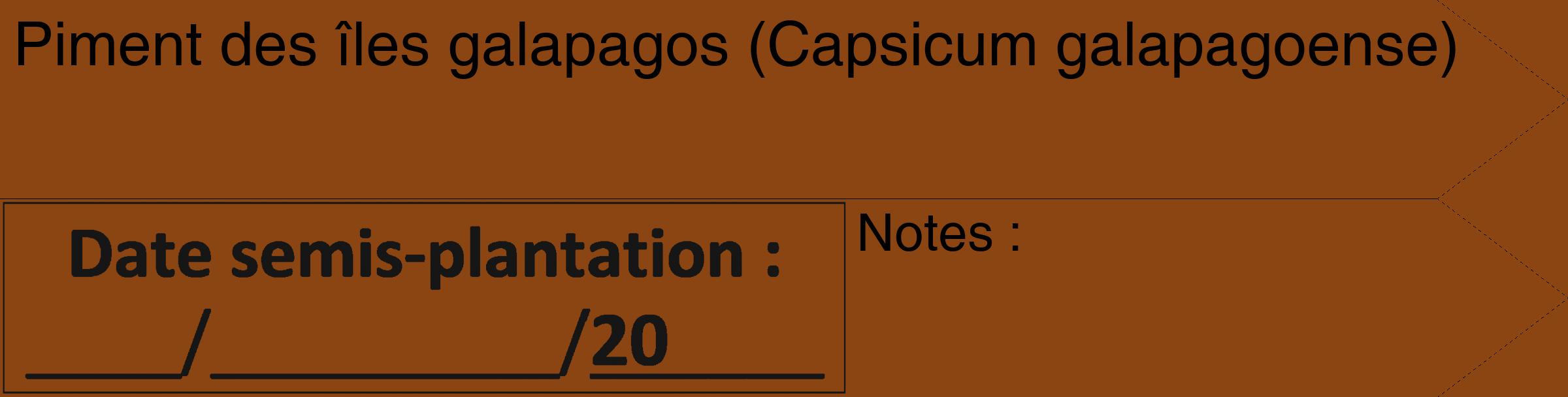 Étiquette de : Capsicum galapagoense - format c - style noire30_simple_simplehel avec comestibilité
