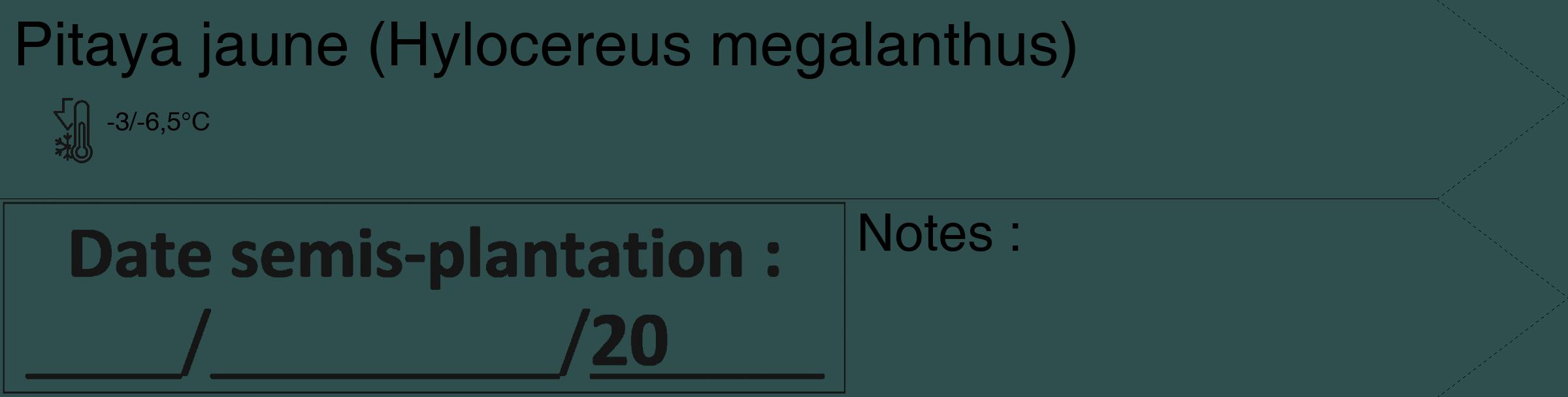Étiquette de : Hylocereus megalanthus - format c - style noire58_simple_simplehel avec comestibilité