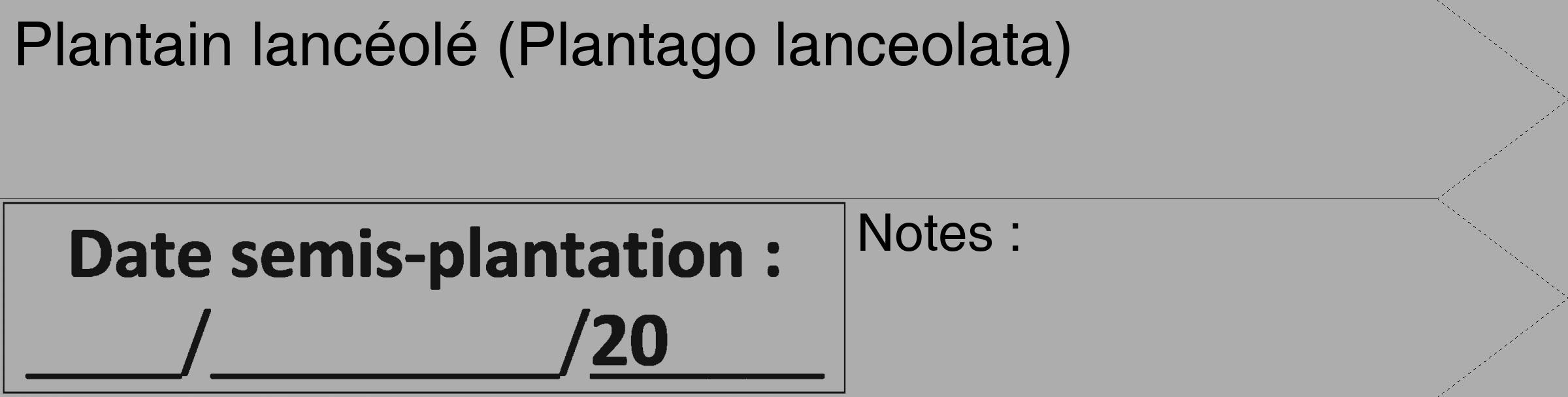Étiquette de : Plantago lanceolata - format c - style noire22_simple_simplehel avec comestibilité