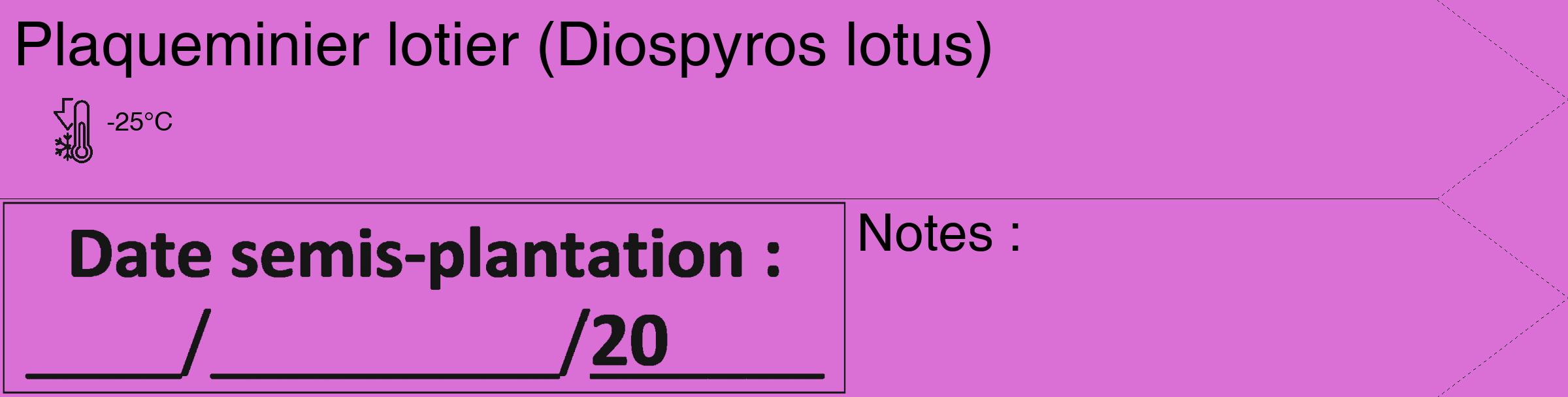 Étiquette de : Diospyros lotus - format c - style noire52_simple_simplehel avec comestibilité