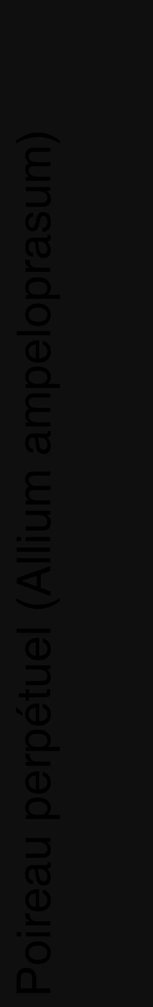 Étiquette de : Allium ampeloprasum - format c - style noire7_basique_basiquehel avec comestibilité - position verticale