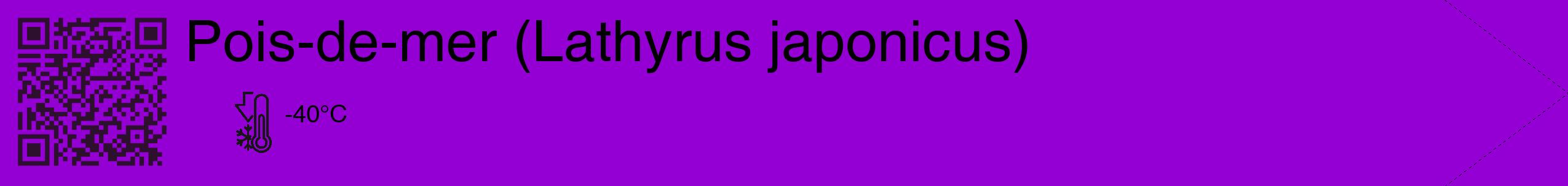 Étiquette de : Lathyrus japonicus - format c - style noire48_simple_simplehel avec qrcode et comestibilité