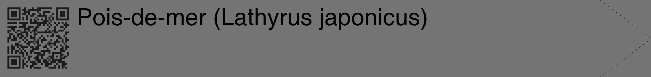 Étiquette de : Lathyrus japonicus - format c - style noire26_simple_simplehel avec qrcode et comestibilité