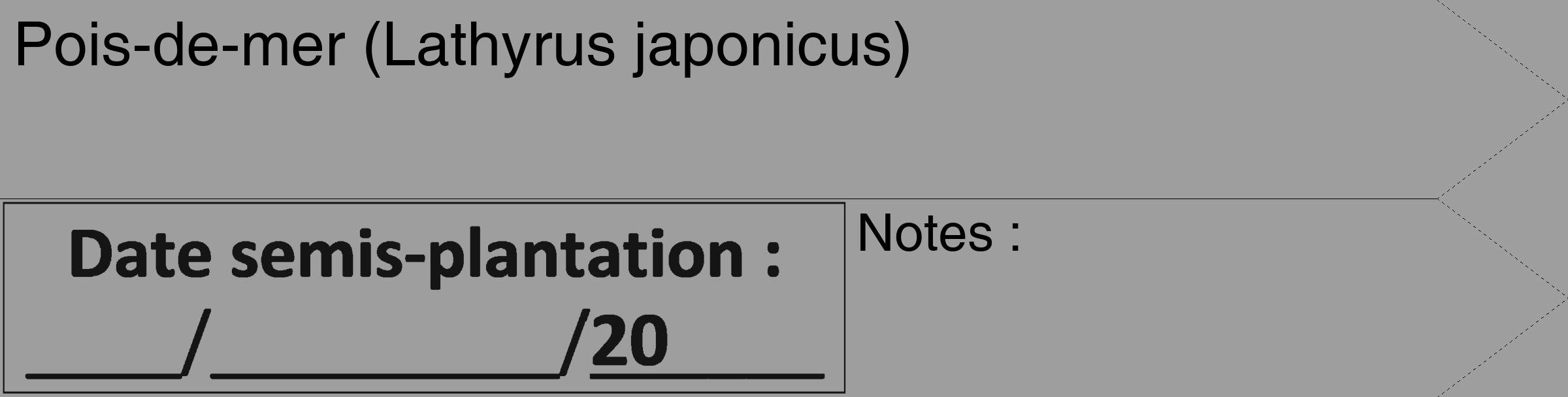 Étiquette de : Lathyrus japonicus - format c - style noire42_simple_simplehel avec comestibilité