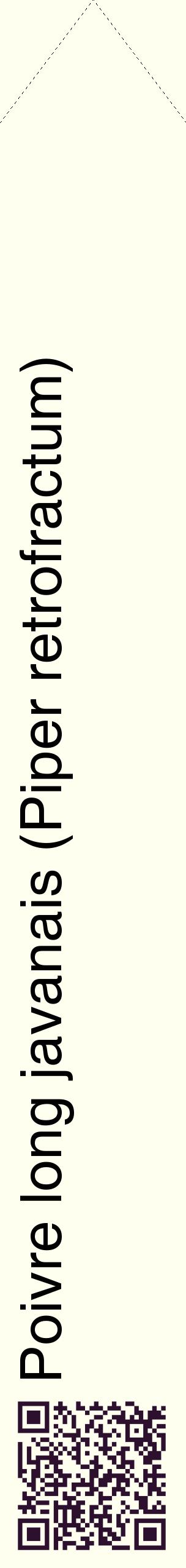 Étiquette de : Piper retrofractum - format c - style noire19_simplehel avec qrcode et comestibilité