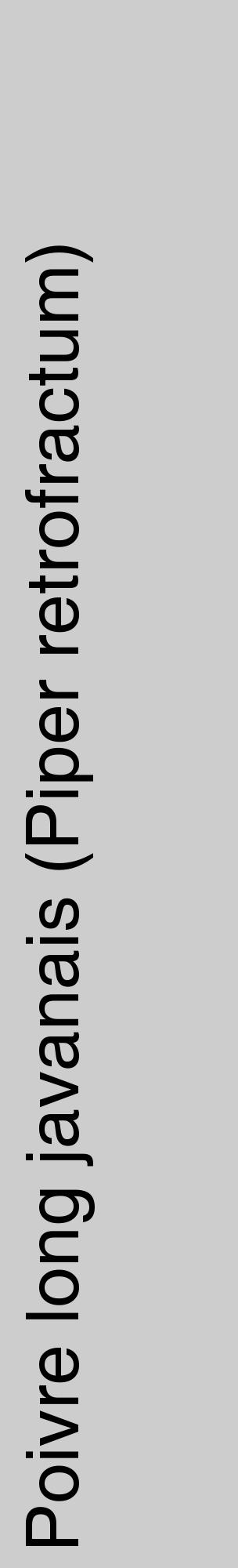 Étiquette de : Piper retrofractum - format c - style noire41_basique_basiquehel avec comestibilité - position verticale