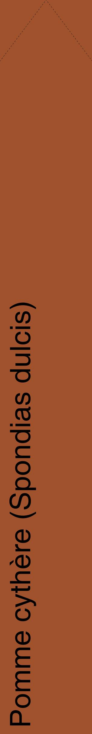 Étiquette de : Spondias dulcis - format c - style noire32_simplehel avec comestibilité