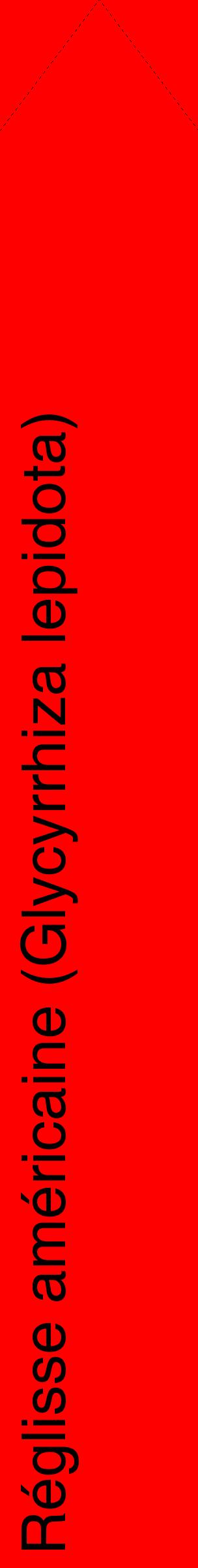 Étiquette de : Glycyrrhiza lepidota - format c - style noire27_simplehel avec comestibilité
