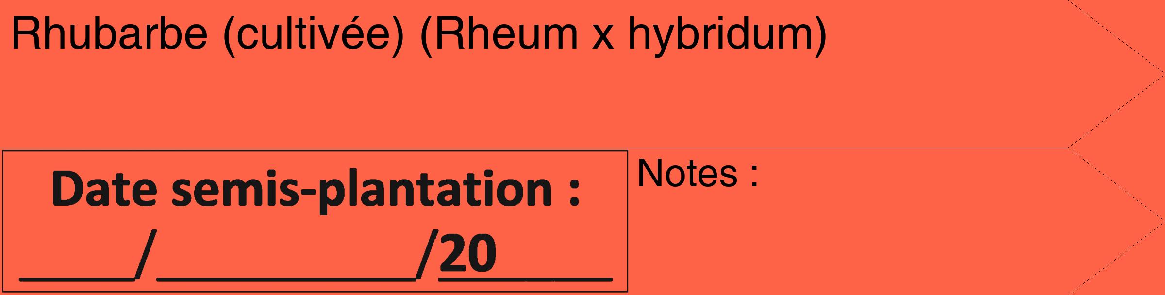 Étiquette de : Rheum x hybridum - format c - style noire25_simple_simplehel avec comestibilité