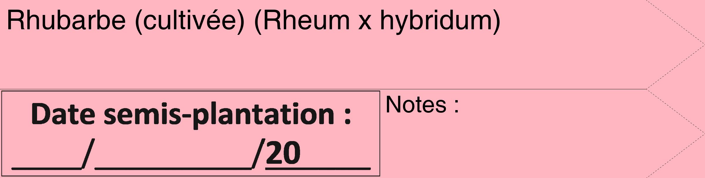 Étiquette de : Rheum x hybridum - format c - style noire41_simple_simplehel avec comestibilité