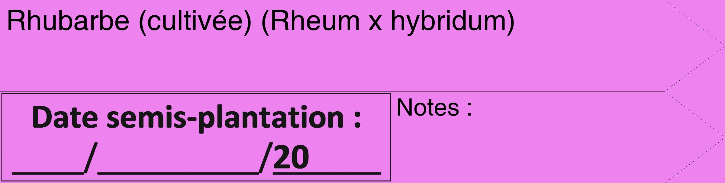 Étiquette de : Rheum x hybridum - format c - style noire53_simple_simplehel avec comestibilité
