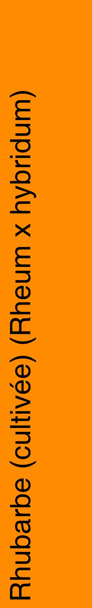 Étiquette de : Rheum x hybridum - format c - style noire23_basiquehel avec comestibilité
