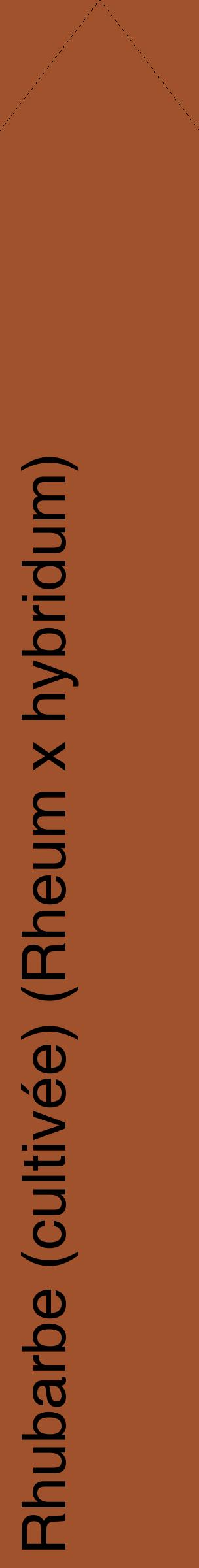 Étiquette de : Rheum x hybridum - format c - style noire32_simplehel avec comestibilité