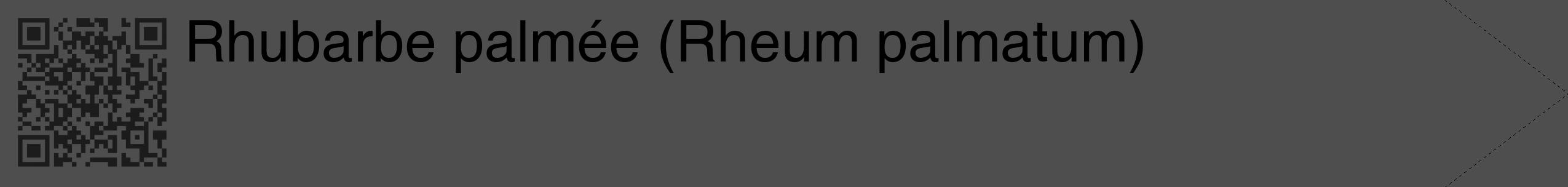 Étiquette de : Rheum palmatum - format c - style noire33_simple_simplehel avec qrcode et comestibilité