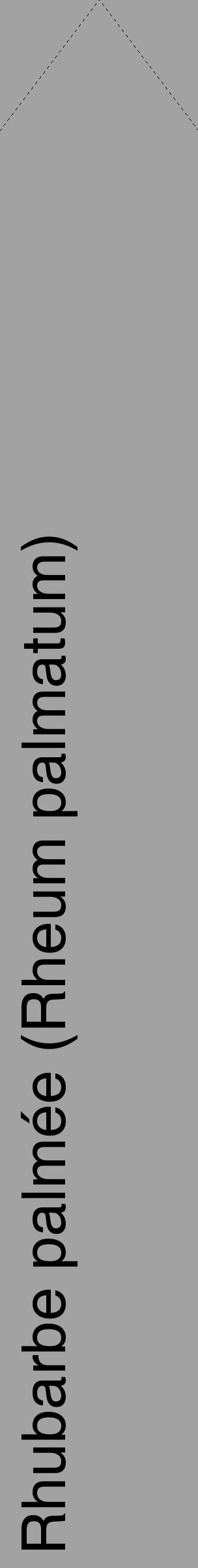 Étiquette de : Rheum palmatum - format c - style noire38_simple_simplehel avec comestibilité - position verticale