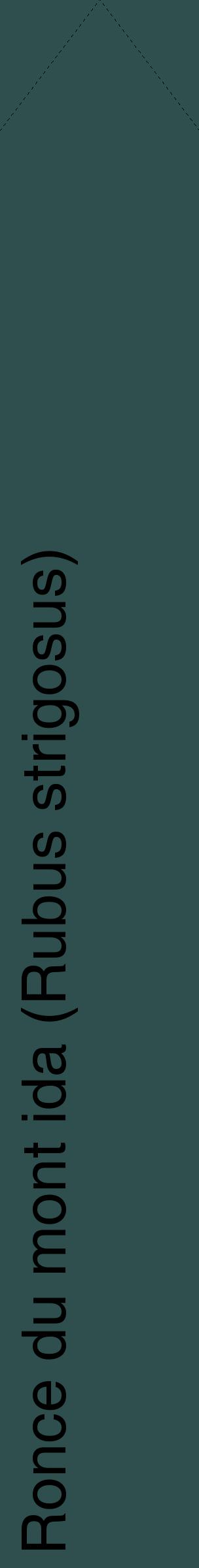 Étiquette de : Rubus strigosus - format c - style noire58_simplehel avec comestibilité