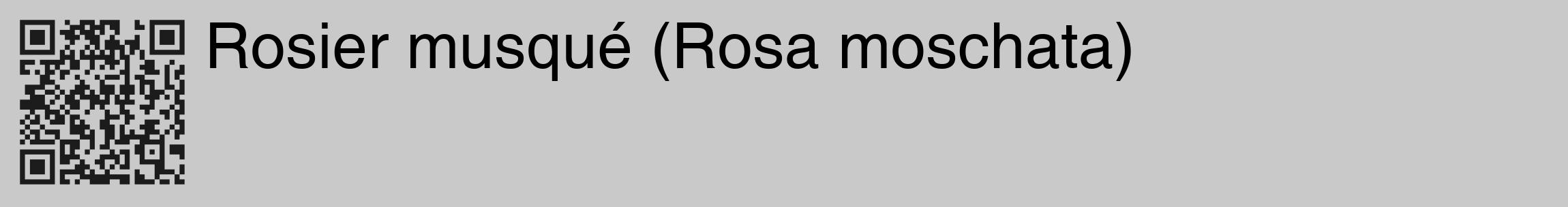 Étiquette de : Rosa moschata - format c - style noire54_basique_basiquehel avec qrcode et comestibilité