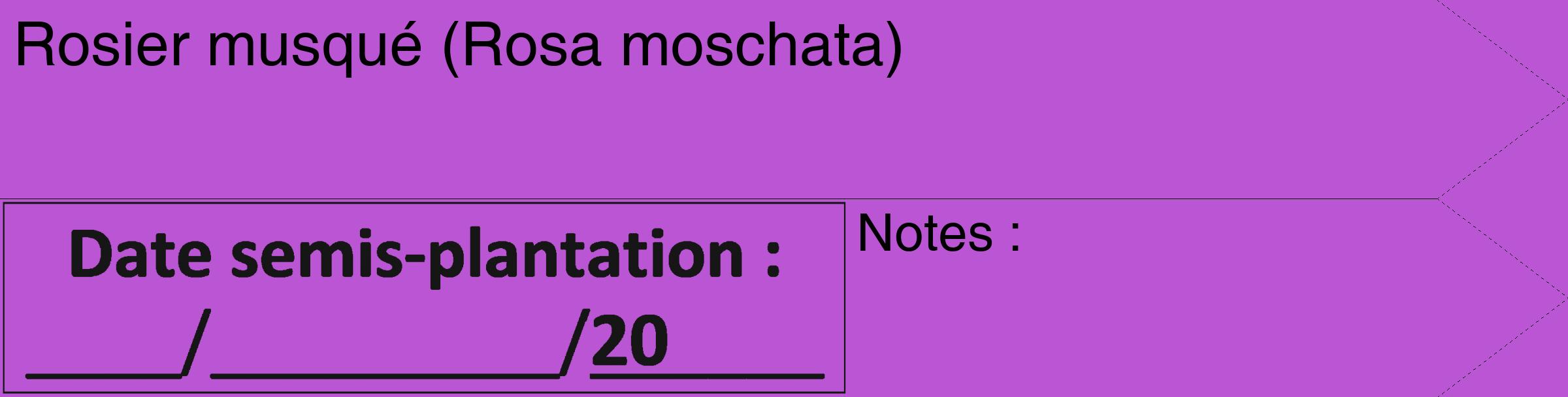 Étiquette de : Rosa moschata - format c - style noire50_simple_simplehel avec comestibilité