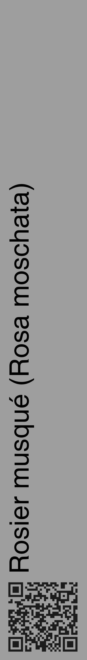 Étiquette de : Rosa moschata - format c - style noire42_basique_basiquehel avec qrcode et comestibilité - position verticale