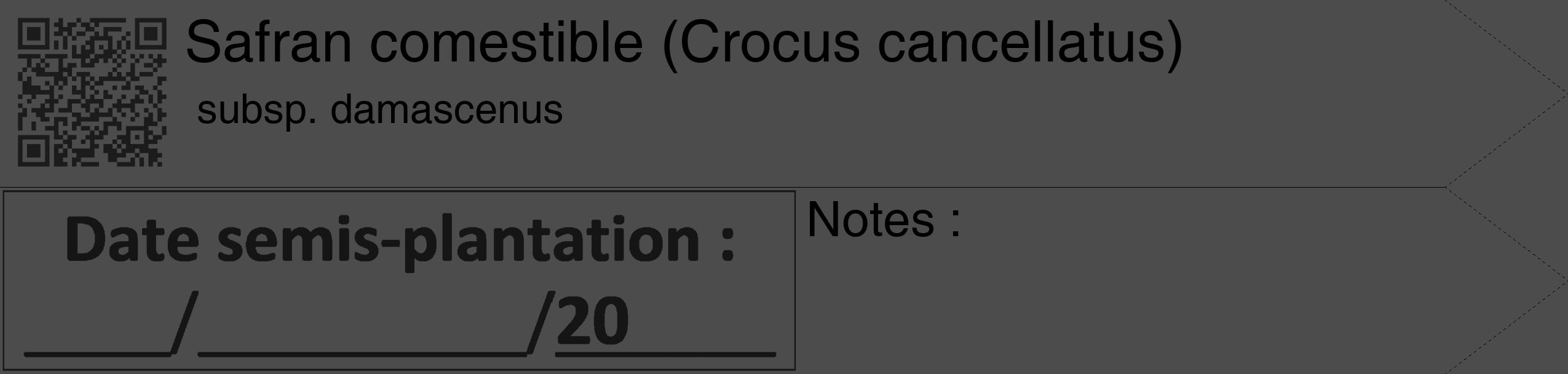 Étiquette de : Crocus cancellatus subsp. damascenus - format c - style noire27_simple_simplehel avec qrcode et comestibilité