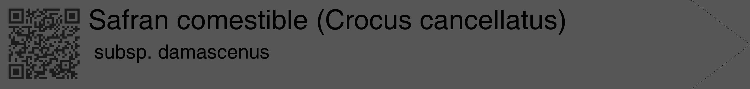 Étiquette de : Crocus cancellatus subsp. damascenus - format c - style noire45_simple_simplehel avec qrcode et comestibilité