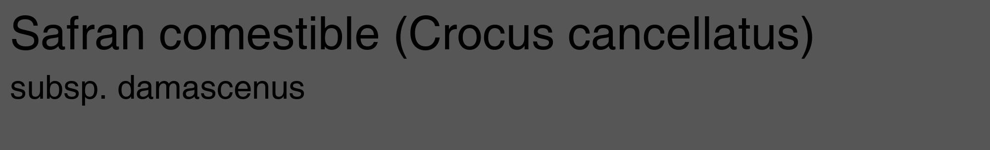 Étiquette de : Crocus cancellatus subsp. damascenus - format c - style noire45_basique_basiquehel avec comestibilité