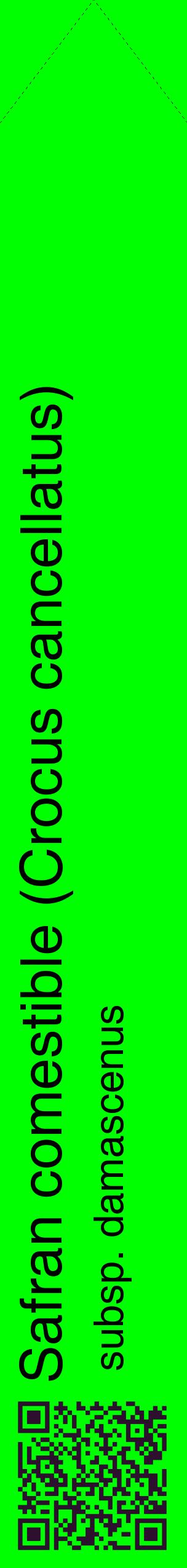 Étiquette de : Crocus cancellatus subsp. damascenus - format c - style noire16_simplehel avec qrcode et comestibilité