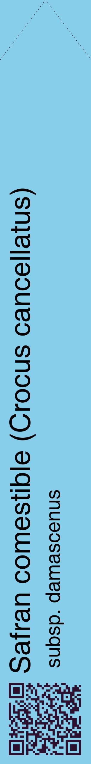 Étiquette de : Crocus cancellatus subsp. damascenus - format c - style noire1_simplehel avec qrcode et comestibilité