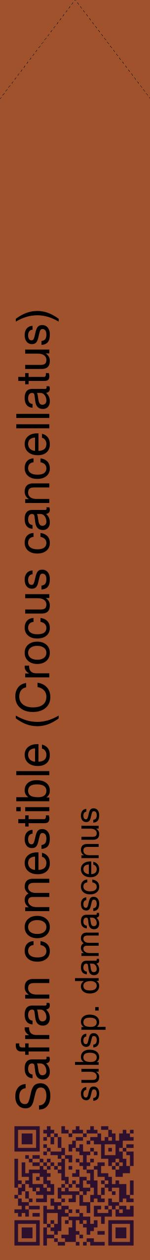 Étiquette de : Crocus cancellatus subsp. damascenus - format c - style noire32_simplehel avec qrcode et comestibilité