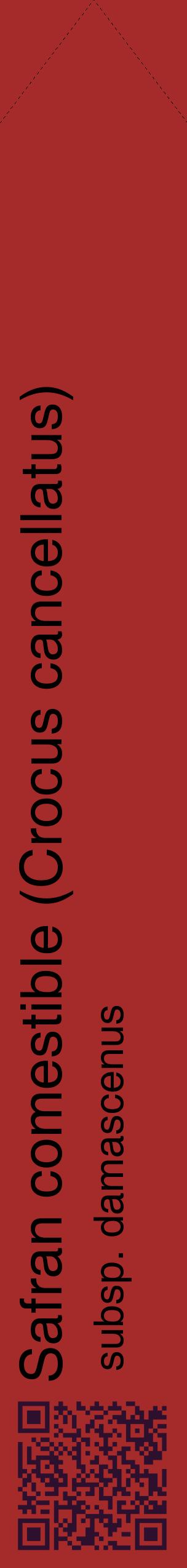 Étiquette de : Crocus cancellatus subsp. damascenus - format c - style noire33_simplehel avec qrcode et comestibilité