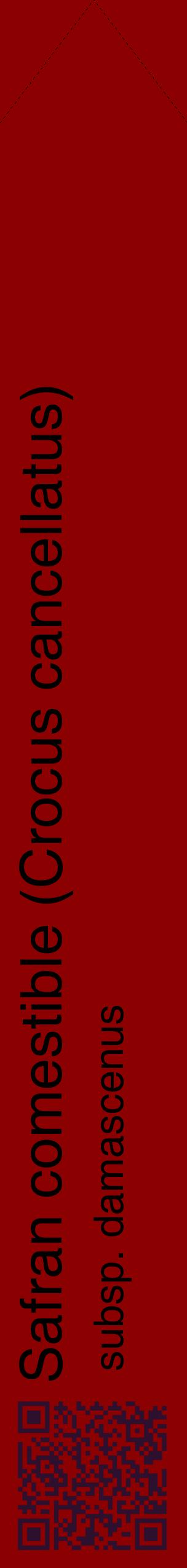 Étiquette de : Crocus cancellatus subsp. damascenus - format c - style noire34_simplehel avec qrcode et comestibilité