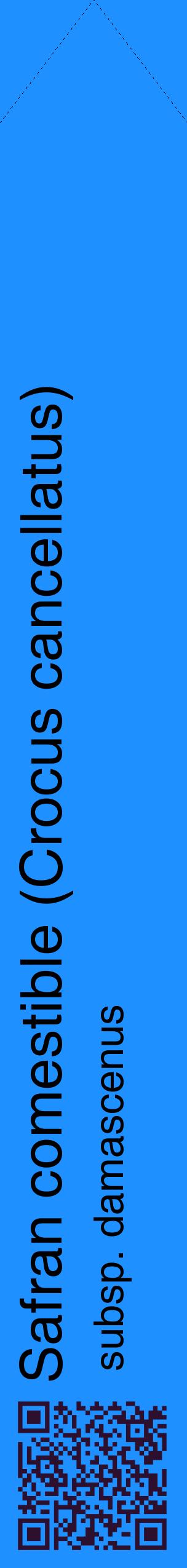 Étiquette de : Crocus cancellatus subsp. damascenus - format c - style noire3_simplehel avec qrcode et comestibilité