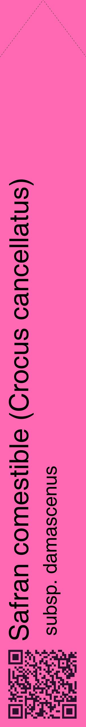 Étiquette de : Crocus cancellatus subsp. damascenus - format c - style noire42_simplehel avec qrcode et comestibilité