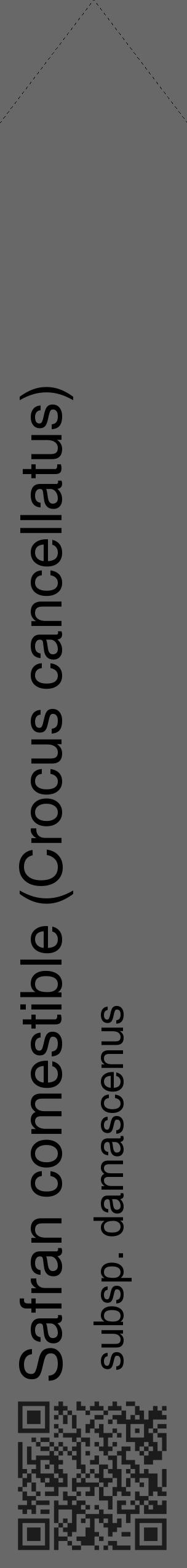 Étiquette de : Crocus cancellatus subsp. damascenus - format c - style noire43_simple_simplehel avec qrcode et comestibilité - position verticale