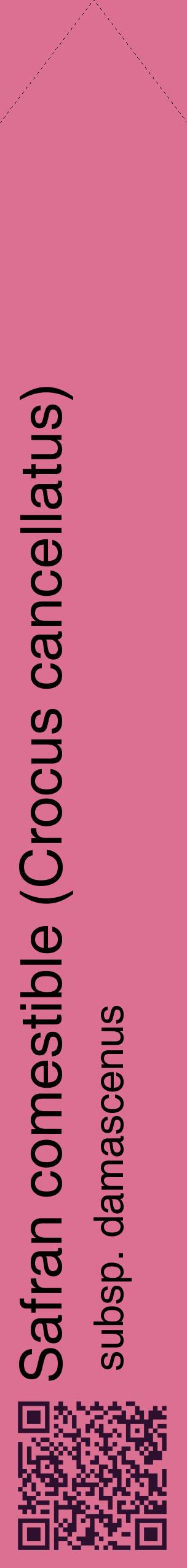 Étiquette de : Crocus cancellatus subsp. damascenus - format c - style noire44_simplehel avec qrcode et comestibilité