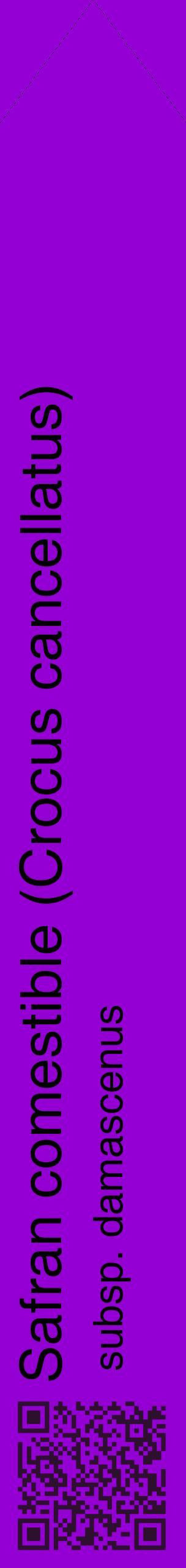 Étiquette de : Crocus cancellatus subsp. damascenus - format c - style noire48_simplehel avec qrcode et comestibilité