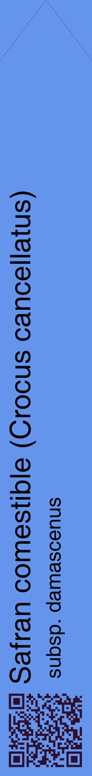 Étiquette de : Crocus cancellatus subsp. damascenus - format c - style noire4_simplehel avec qrcode et comestibilité