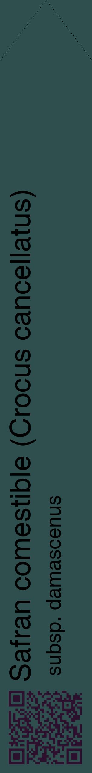 Étiquette de : Crocus cancellatus subsp. damascenus - format c - style noire58_simplehel avec qrcode et comestibilité