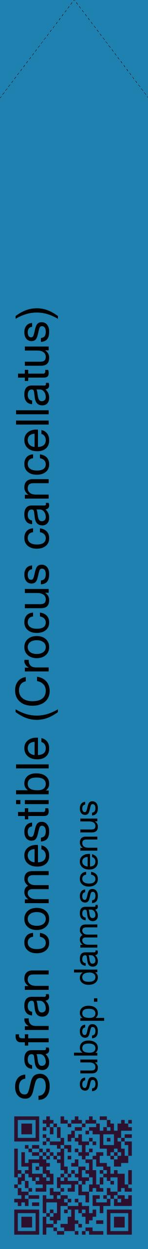 Étiquette de : Crocus cancellatus subsp. damascenus - format c - style noire6_simplehel avec qrcode et comestibilité