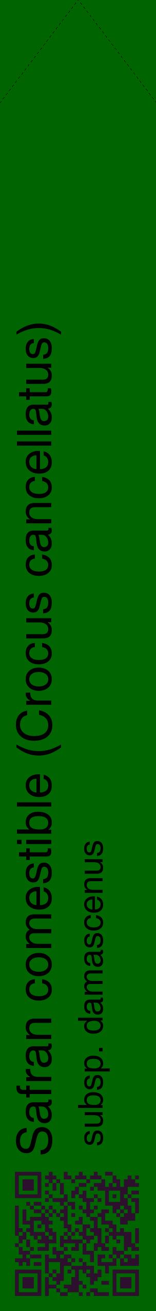 Étiquette de : Crocus cancellatus subsp. damascenus - format c - style noire8_simplehel avec qrcode et comestibilité
