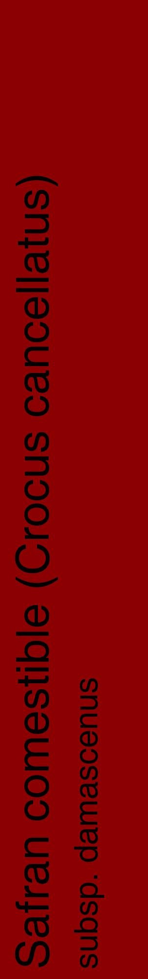 Étiquette de : Crocus cancellatus subsp. damascenus - format c - style noire34_basiquehel avec comestibilité