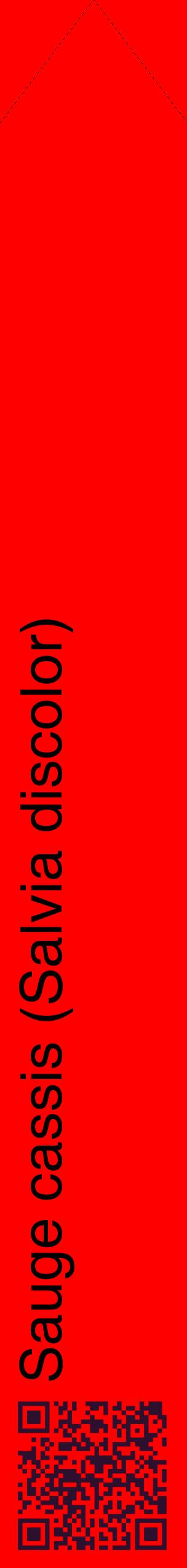 Étiquette de : Salvia discolor - format c - style noire27_simplehel avec qrcode et comestibilité