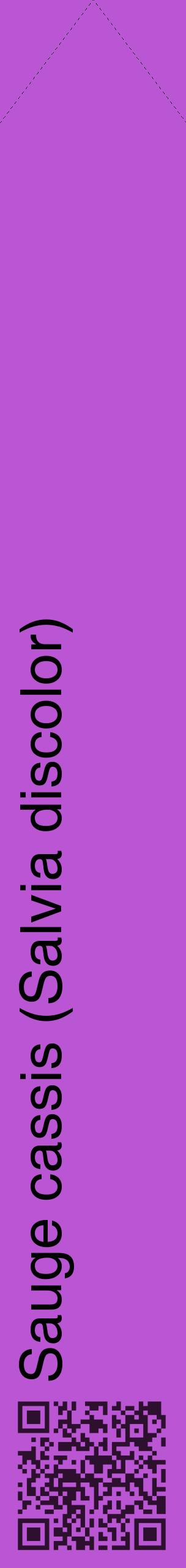 Étiquette de : Salvia discolor - format c - style noire50_simplehel avec qrcode et comestibilité