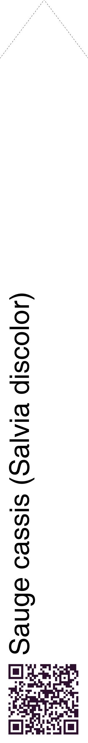 Étiquette de : Salvia discolor - format c - style noire60_simplehel avec qrcode et comestibilité