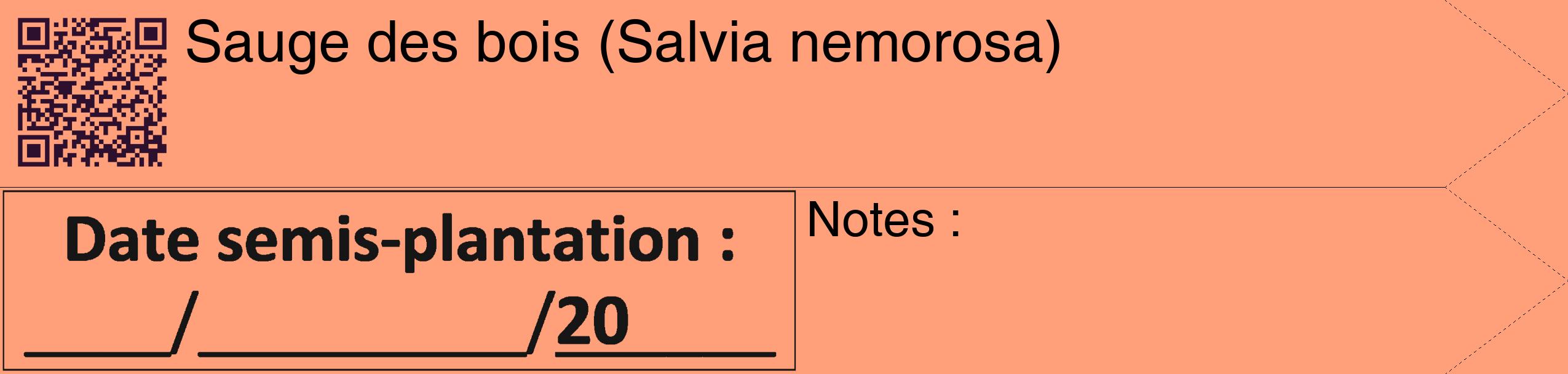 Étiquette de : Salvia nemorosa - format c - style noire39_simple_simplehel avec qrcode et comestibilité