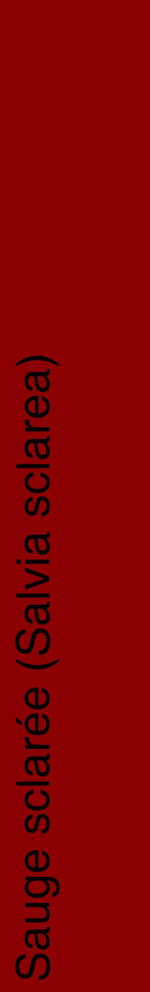 Étiquette de : Salvia sclarea - format c - style noire34_basiquehel avec comestibilité